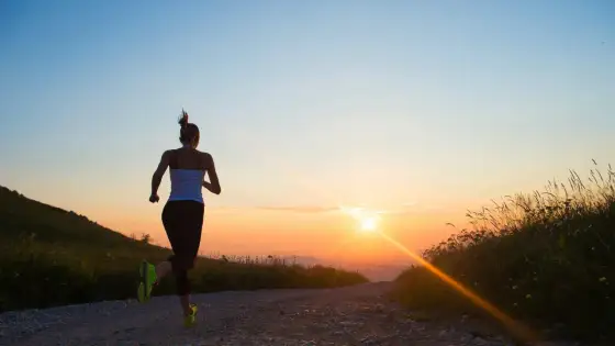Beste Trainingszeit finden - Morgen oder Abend?